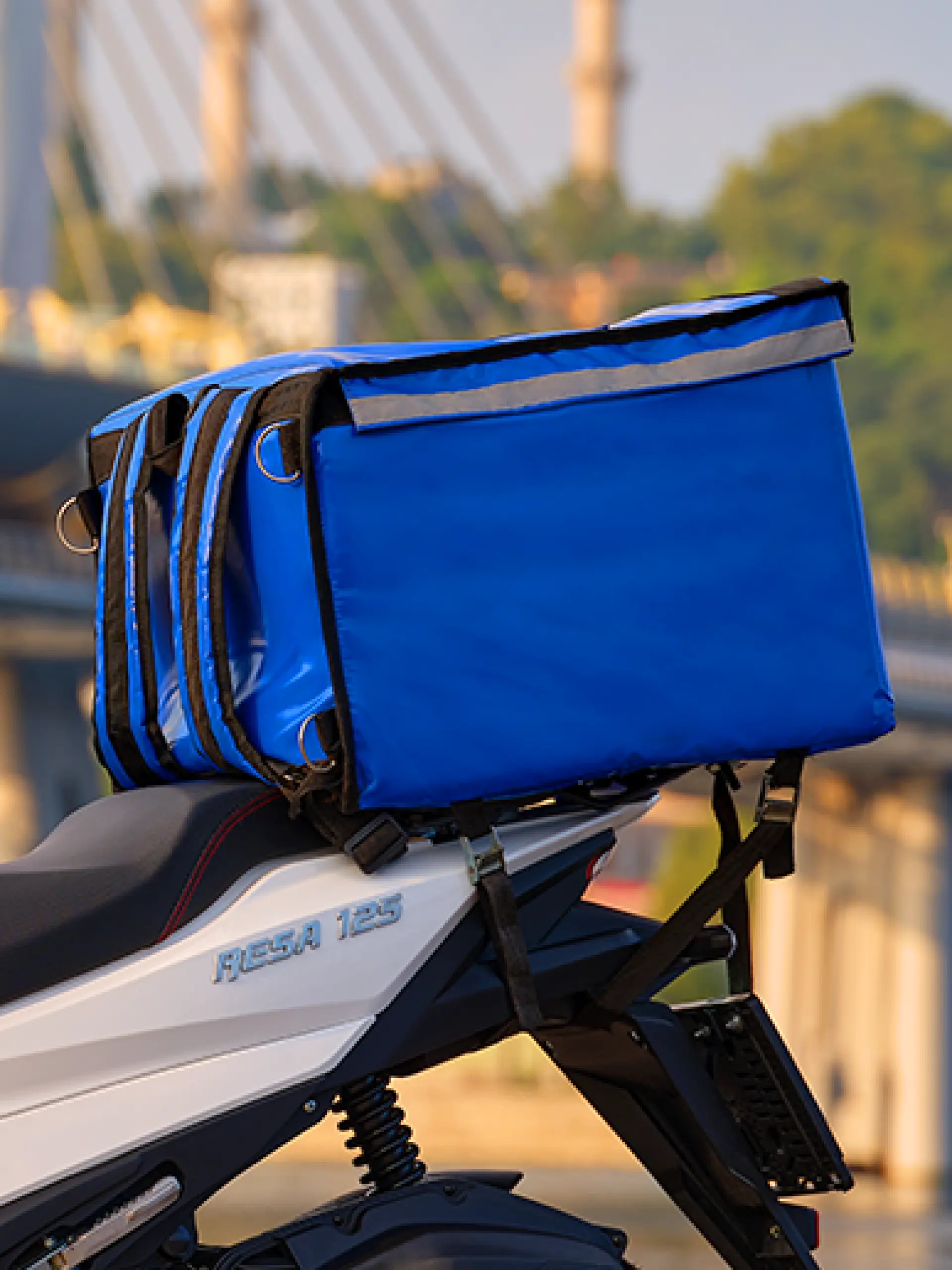 Güçlü Kuyruk Şasesi