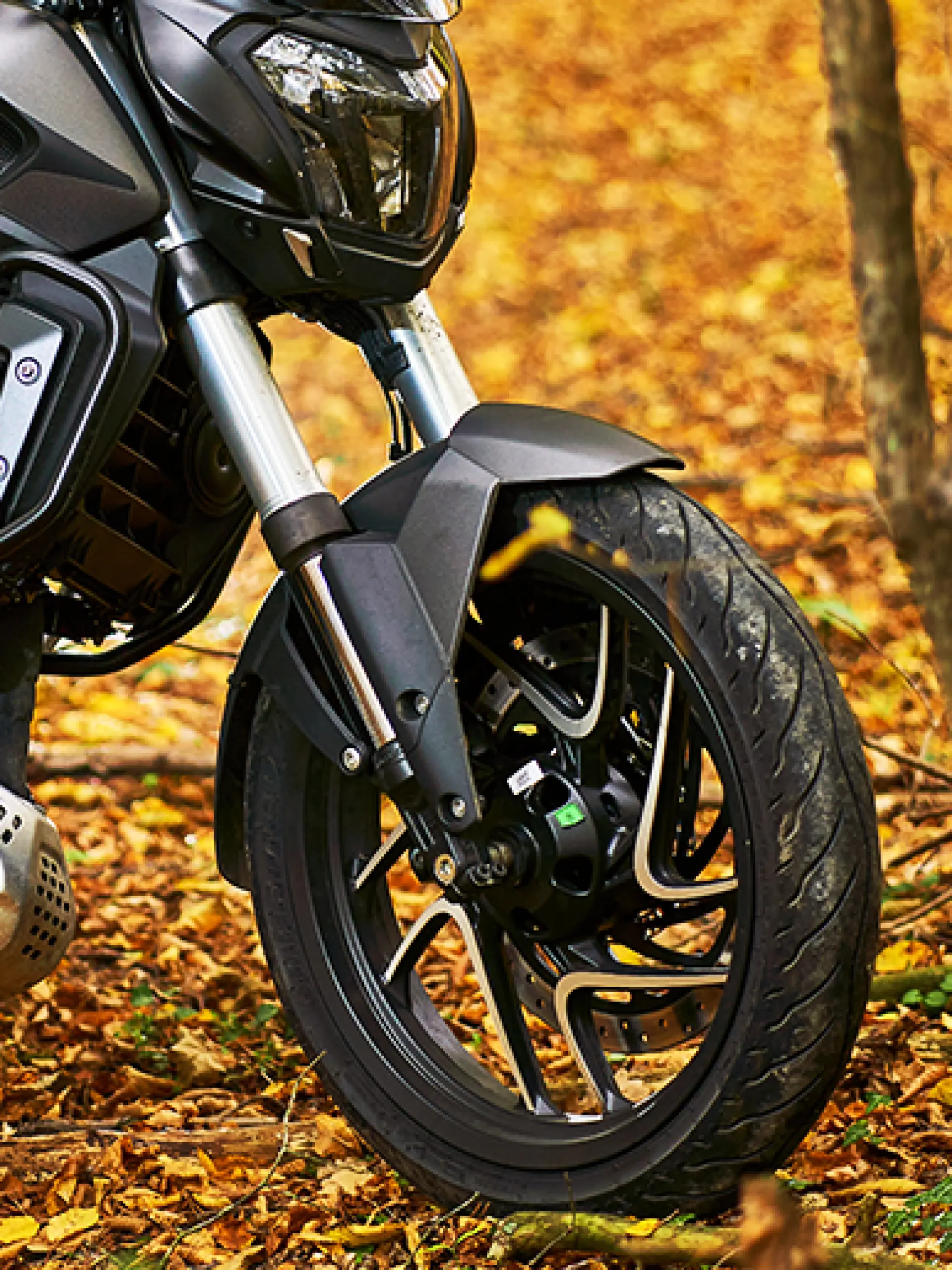 Yollar Onun Kontrolü altında