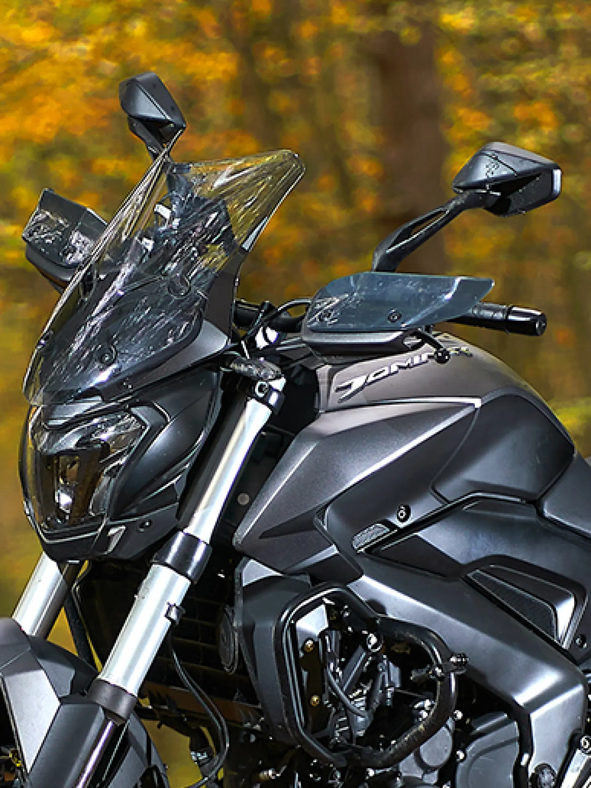 Koruyucu Elcik Rüzgarlığı