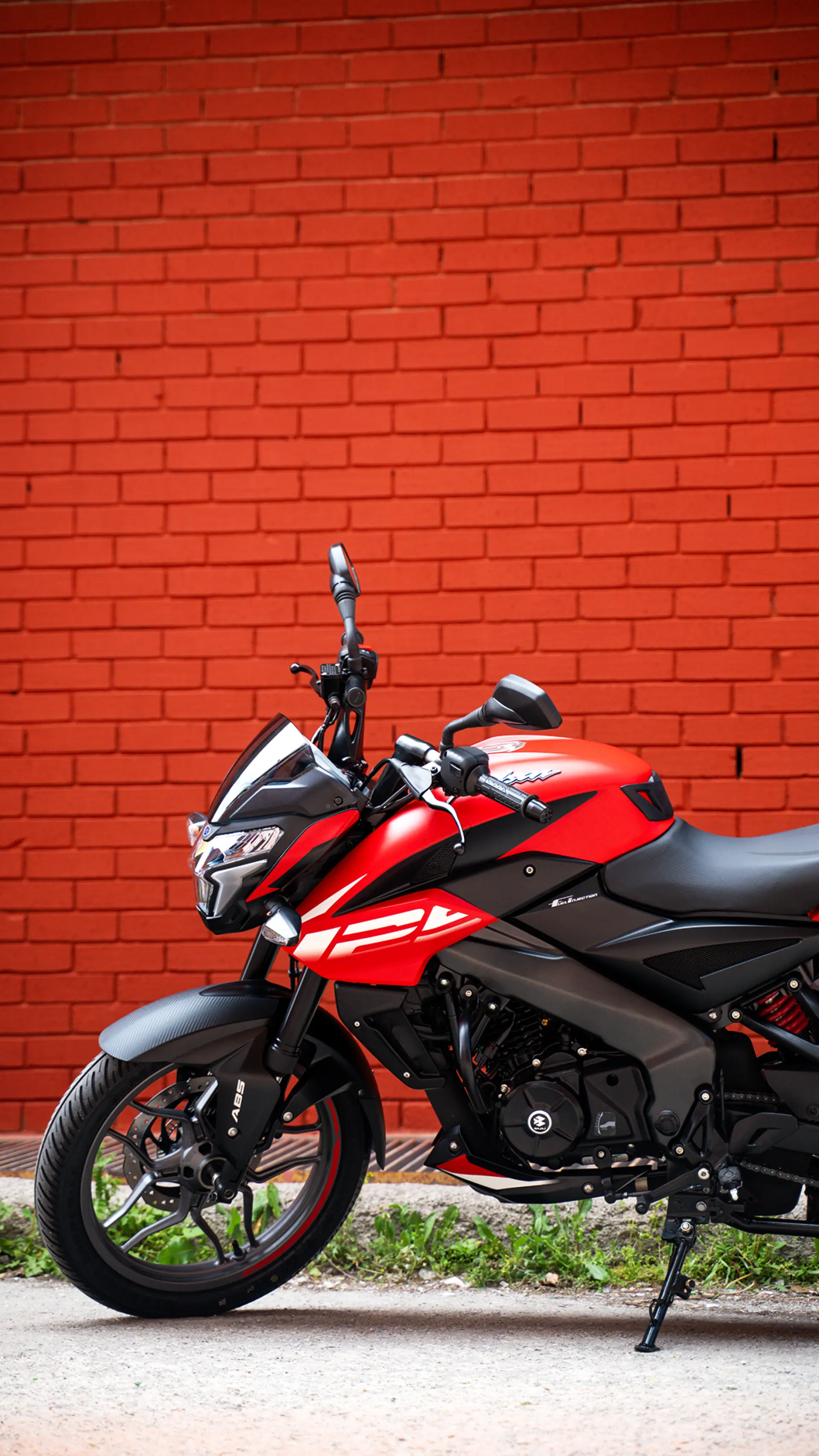 Sportif Renk Seçenekleri