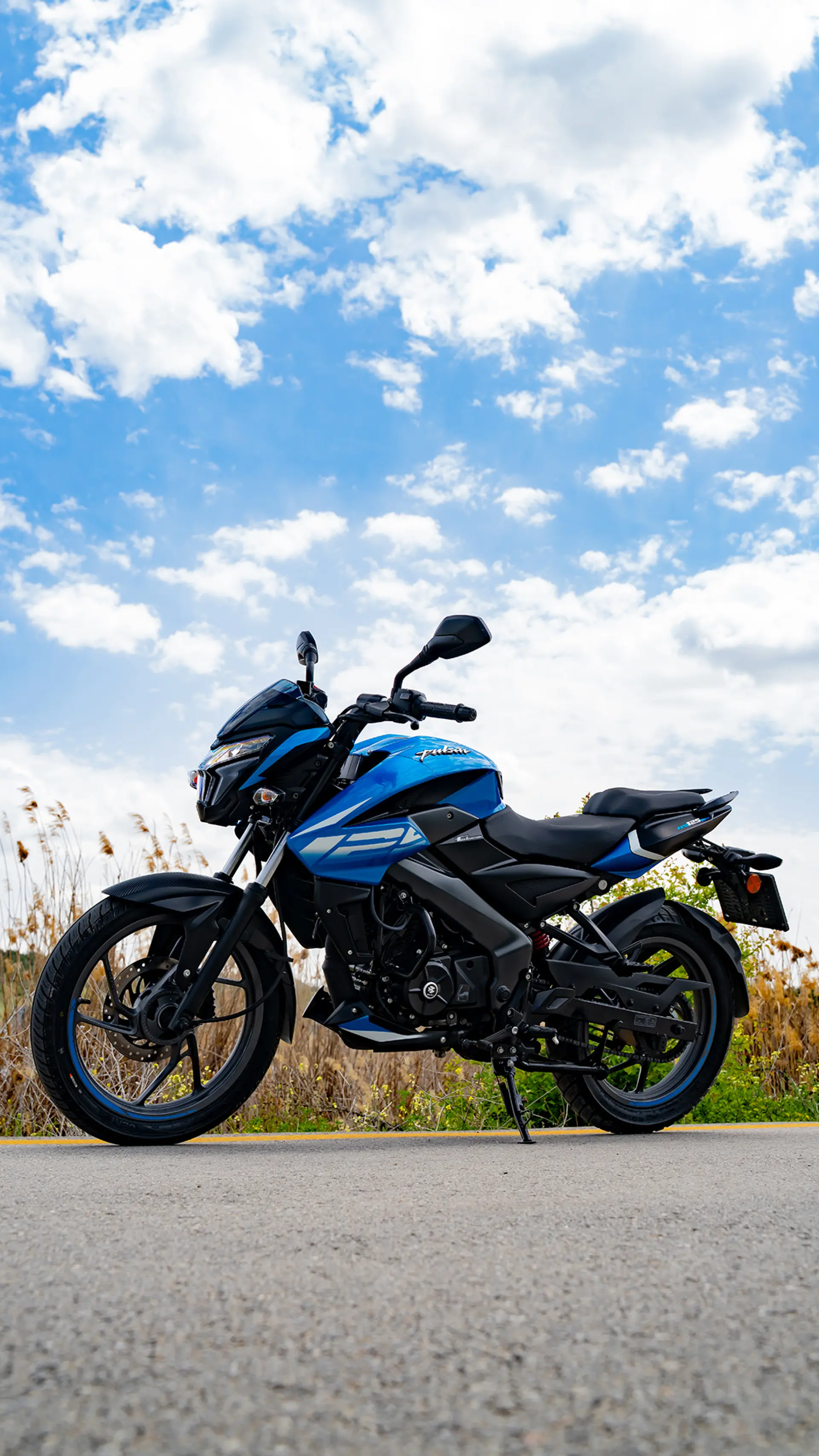 Canlı Renk Seçenekleri